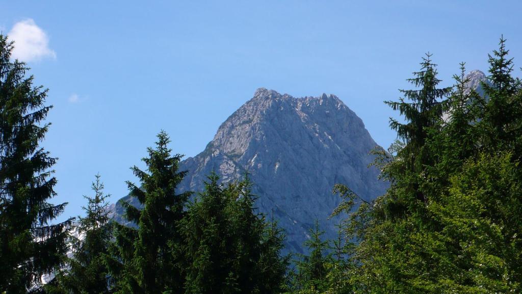 Gaestehaus Buchenhof Διαμέρισμα Grainau Εξωτερικό φωτογραφία